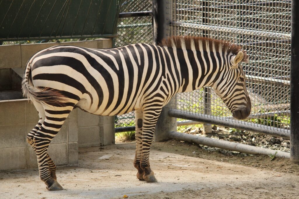 福岡で医療脱毛を受ける際、顔が痛いと感じる理由は？