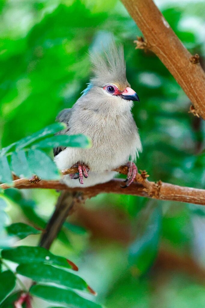 横浜での医療脱毛におけるうなじの料金はどのくらい？