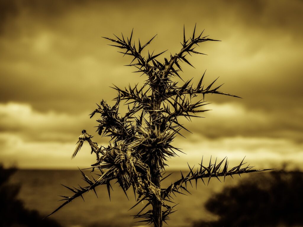 脇毛剃るときに痛みを軽減する方法は？