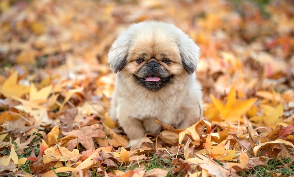 医療脱毛で安いクリニックのランキングは？