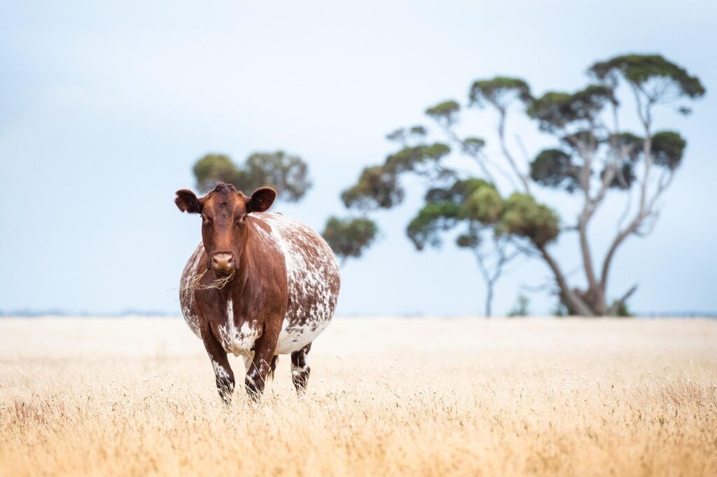 医療脱毛が妊娠中にできない理由とは？